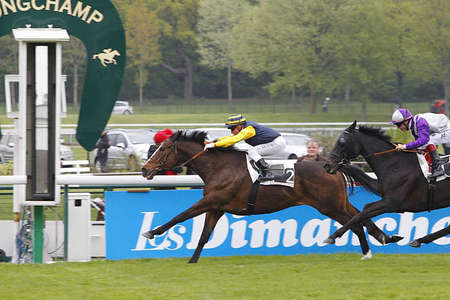 Actualités Hippiques